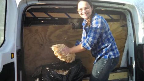 ArkV Adventures, Part 2 Image